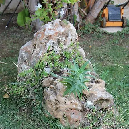 住宿加早餐酒店 Valentino 巴里