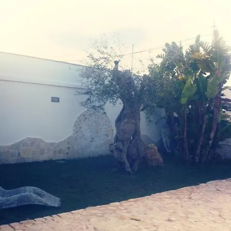 Valentino *