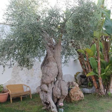 Bed & Breakfast Valentino 3*